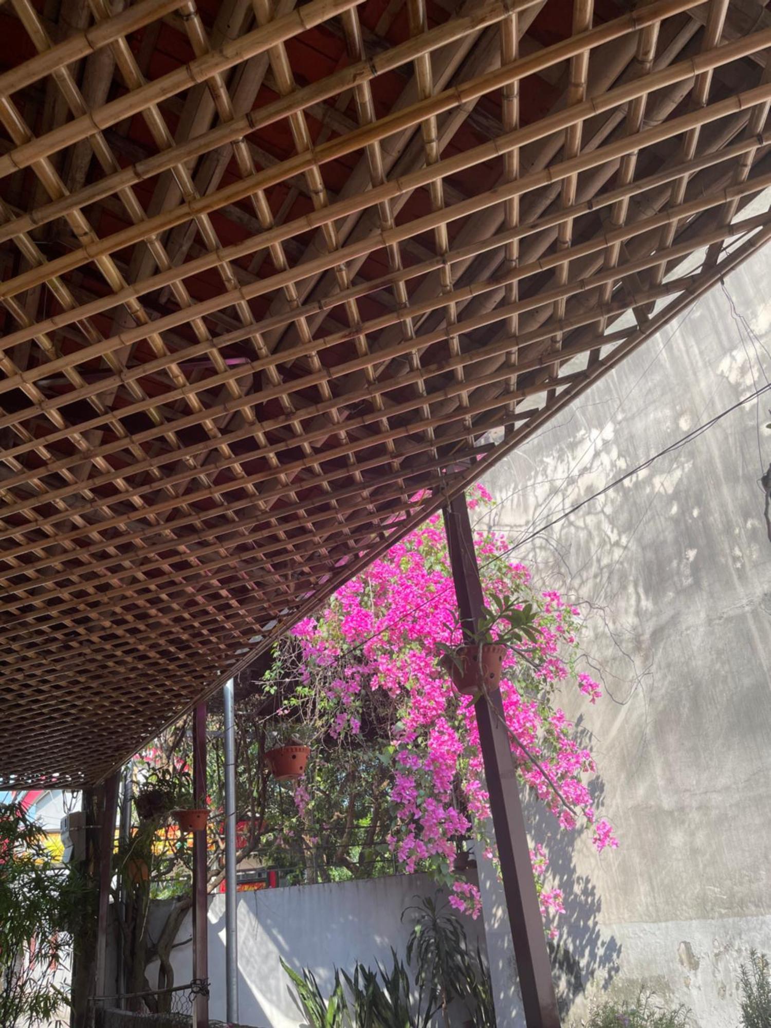 Thuy Xuyen Tam Coc Homestay Vu Lam Екстер'єр фото