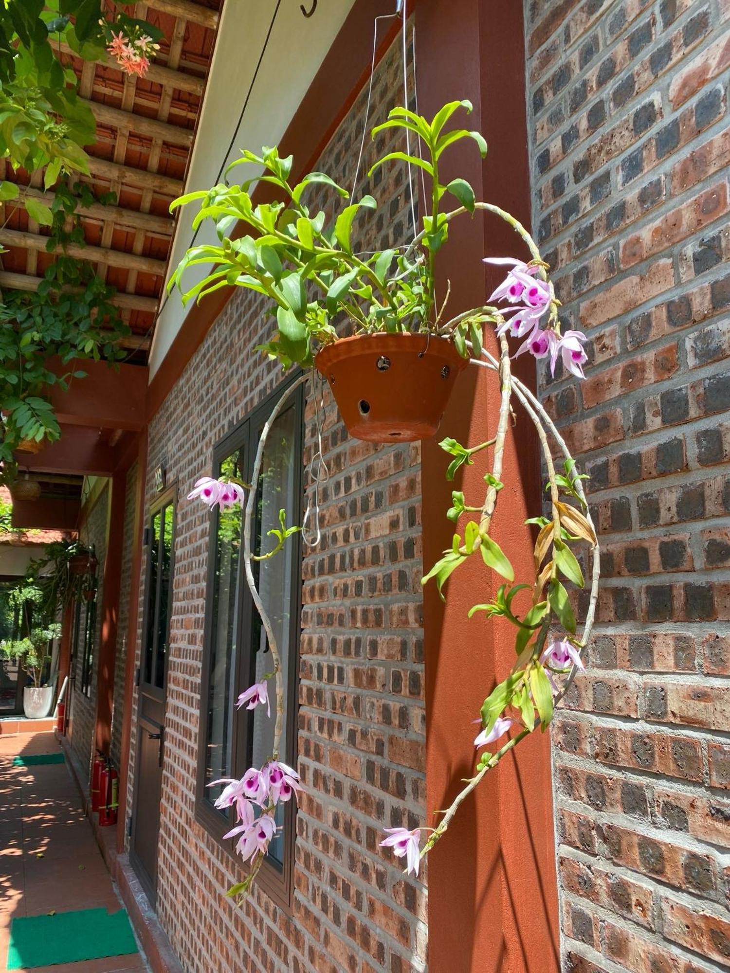 Thuy Xuyen Tam Coc Homestay Vu Lam Екстер'єр фото
